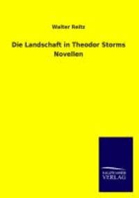 Die Landschaft in Theodor Storms Novellen.