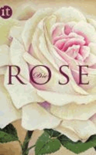 Die Rose.