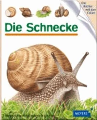 Die Schnecke