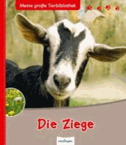 Die Ziege.