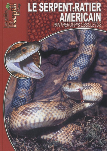 Dieter Schimdt - Le serpent-ratier américain - Pantherophis obsoletus.