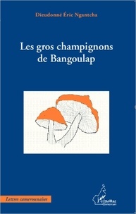 Dieudonné Eric Ngantcha - Gros champignons de bangoulap.