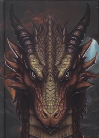 Carnet Dragon