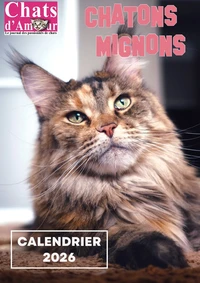 Chatons Mignons