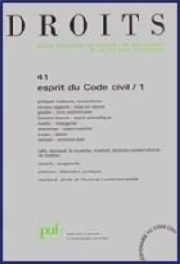 Esprit du Code civil
