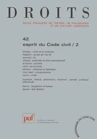 Esprit du Code civil