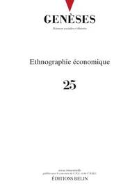 Ethnographie économique