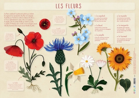 Les fleurs