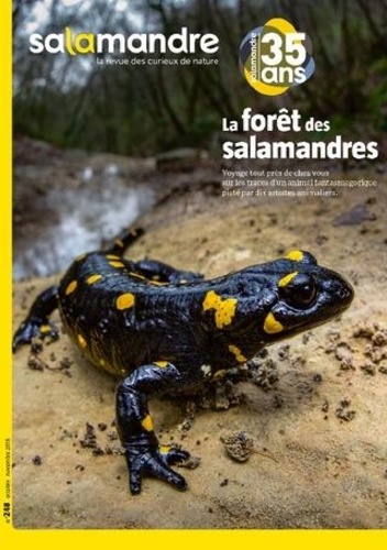 Julien Perrot - Salamandre N° 248, octobre-novembre 2018 : La forêt des salamandres.