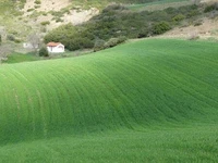 ΦΩΣ ΚΑΙ ΧΡΩΜΑ  η θεραπευτική δύναμη του  φωτός και του χρώματος