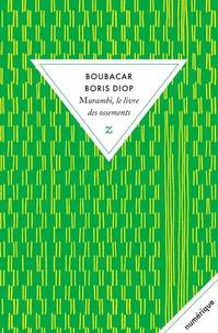 Murambi, le livre des ossements