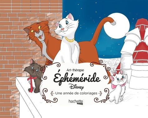 Ephéméride Disney Une Année De Coloriages Grand Format - 