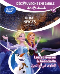 La Reine des Neiges : le ciel nocture