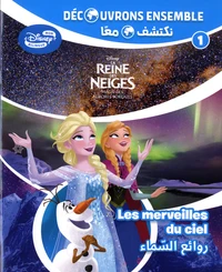 La Reine des Neiges : le ciel nocturne