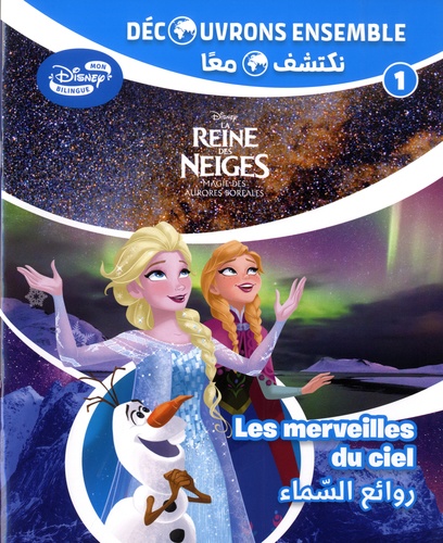  Disney - La Reine des Neiges : le ciel nocturne - Les merveilles du ciel.