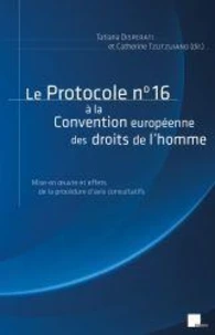 Le protocole n° 16 à la Convention européenne des droits de l'homme