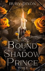 Bound to the shadow Prince