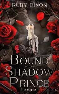 Bound to the shadow prince