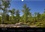 CALVENDO Nature  Gorges d'Apremont - Fontainebleau (Calendrier mural 2020 DIN A3 horizontal). Sentier de l'érosion des gorges d'Apremont en forêt de Fontainebleau (Calendrier mensuel, 14 Pages )
