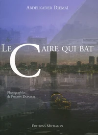 Le Caire qui bat