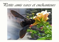 Petits amis rares et enchanteurs (Calendrier mural 2017 DIN A3 horizontal)