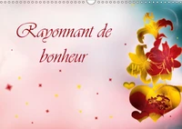 Rayonnant de bonheur (Calendrier mural 2017 DIN A3 horizontal)