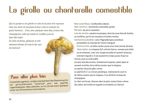 Les champignons passent à table