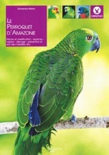 Domenico Mario - Le perroquet d'Amazonie.