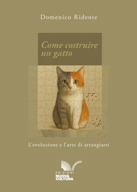 Come costruire un gatto