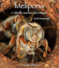 Mélipona