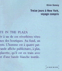 Treize jours à New-York, voyage compris