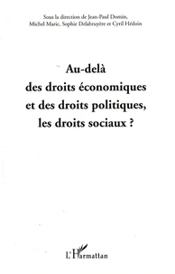 Au-delà des droits économiques et des droits politiques, les droits sociaux ?