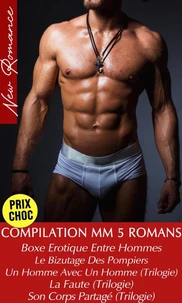 Compilation 5 Romans - Intégrale (Romances Gay)