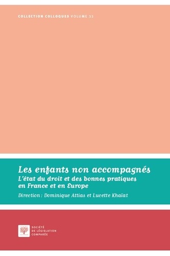 Les enfants non accompagnés. L'état du droit et des bonnes pratiques en France et en Europe