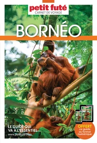 Guide Bornéo 2026 Carnet Petit Futé