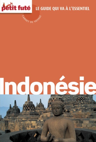 Indonésie 2015 Carnet Petit Futé