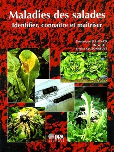 Dominique Blancard et Hervé Lot - Maladies des salades - Identifier, connaître et maîtriser.