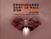 Dominique Blattlin - Promenades dans le hall d'un cinéma - Le Palladium Avignon.