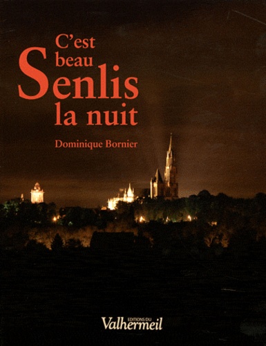 Dominique Bornier - C'est beau Senlis la nuit.
