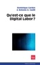 Dominique Cardon et Antonio Casilli - Qu'est-ce que le Digital Labor ?.