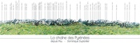 Dominique Duplantier - Panorama de la chaîne des Pyrénées, depuis Pau.