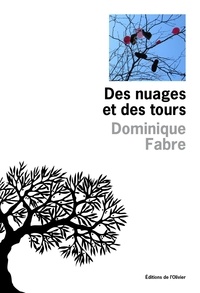 Dominique Fabre - Des nuages et des tours.