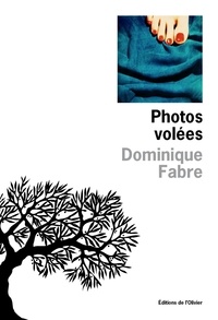Dominique Fabre - Photos volées.