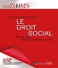 Dominique Grandguillot - Le droit social - Droit du travail, Droit de la protection sociale.