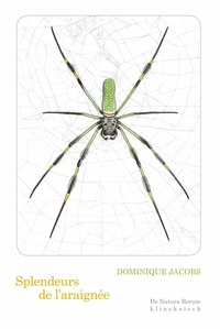 Dominique Jacobs - Splendeurs de l'araignée.