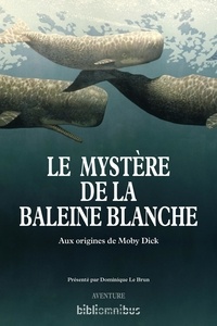Dominique Le Brun - Le Mystère de la baleine blanche - Aux origines de Moby Dick.