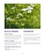 Le guide familial des plantes médicinales. Plus de 300 formules classées par troubles, 200 plantes détaillées, Mode d'emploi plus propriétés thérapeutiques développées