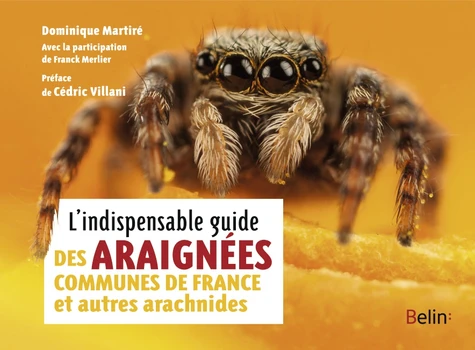 Couverture de L'indispensable guide des araignées communes de France et autres arachnides