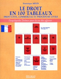 Dominique Mélès - Le Droit En 100 Tableaux. Droit Civil, Commercial Et Procedure Civile.