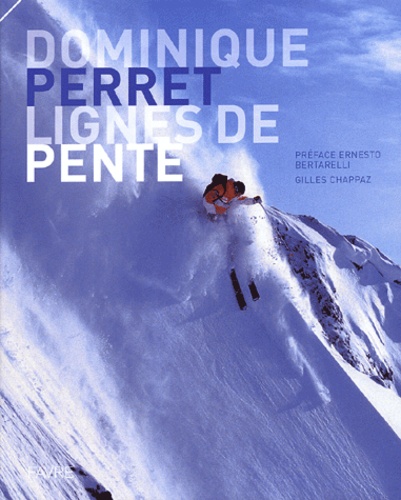Dominique Perret - Lignes de pente.